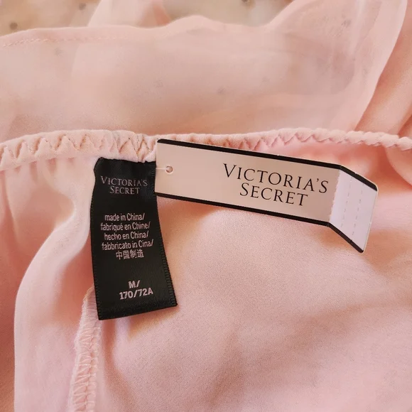 Victoria's Secret Pink Sheer See Through Panty Panties Bloomers New NWT Lace - Picture 5 of 7